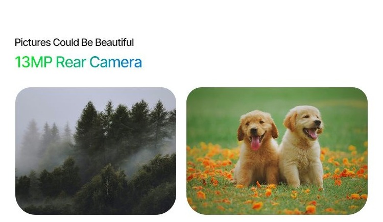 Camera System